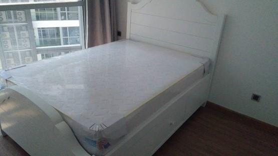 apartment for rent in Binh Thanh district hcmc BT105P3630 (3)